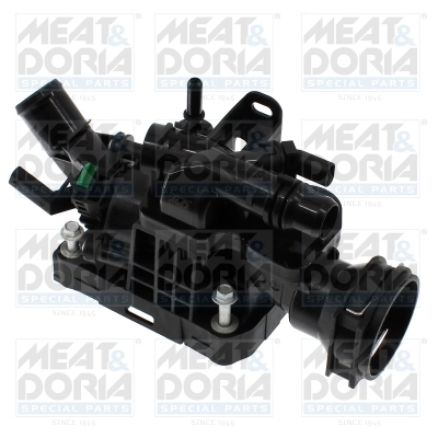 Thermostat, coolant